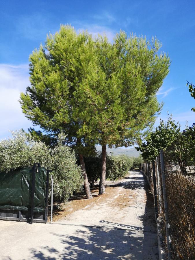 Casa Rural Miralmonte モラタリャ エクステリア 写真